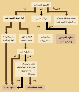 نمودار راههای درمان پوسیدگیهای عمیق